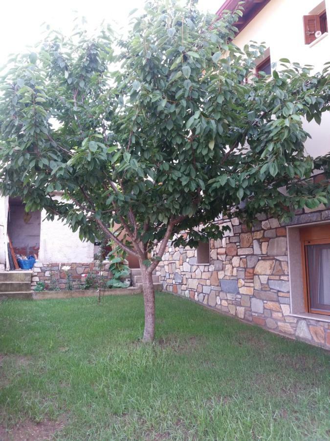 Villa Anna Agios Nikolaos  Eksteriør billede